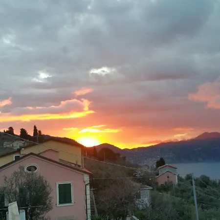 Mare E Ulivi *