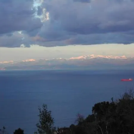 Mare E Ulivi * بييفي ليجوري