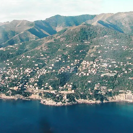 Mare E Ulivi *